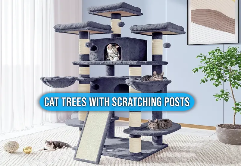 cat trees with scratching posts